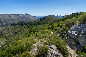 Grüne Berglandschaft und der Felsen Cavall Verd