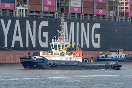 Sleepboot VB Sirius.