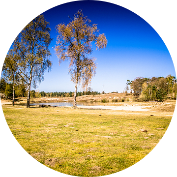 Een nederlands vennetje van Studio  Milaan