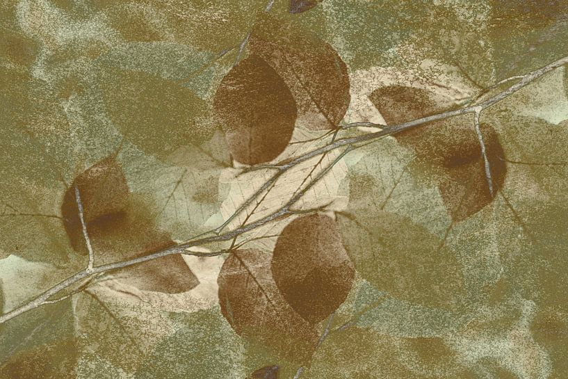 Herbstmuster von Yanuschka | Fotografie Noordwijk