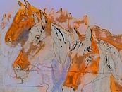 Paarden triple. van SydWyn Art thumbnail