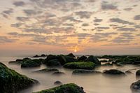 Dutch coast during sunset
