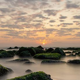 Niederländische Küste bei Sonnenuntergang von Yvonne van Leeuwen