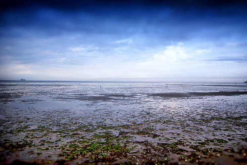 Waddenzee II
