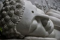 Budda head