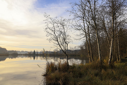 Schwackenreuter Gezien landschap aan het meer bij Mühlingen op een novemberochtend