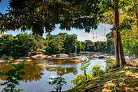 View of the Suriname River, Upper Suriname