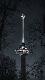 euromast rotterdam in die nacht von vedar cvetanovic