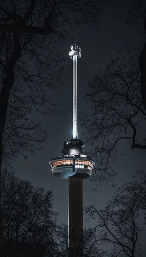 euromast rotterdam au nuit