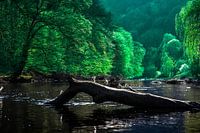 Die Wupper an der Müngstener Brücke