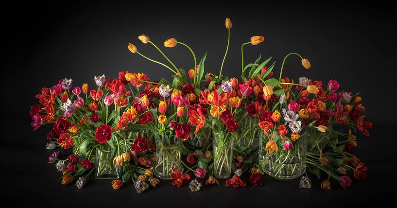 Tulips still life by Dirk Verwoerd