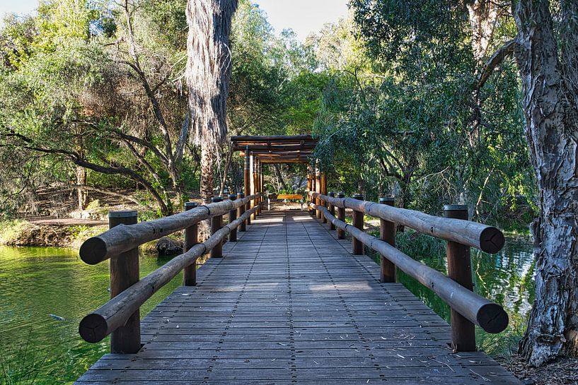 Joli pont par Frank's Awesome Travels