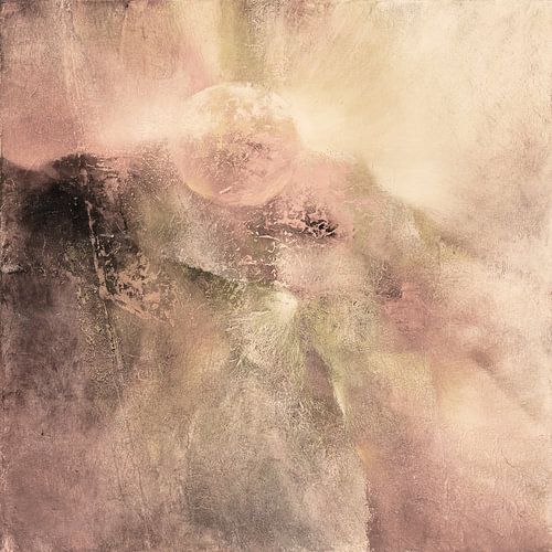 Sunrise over the fields