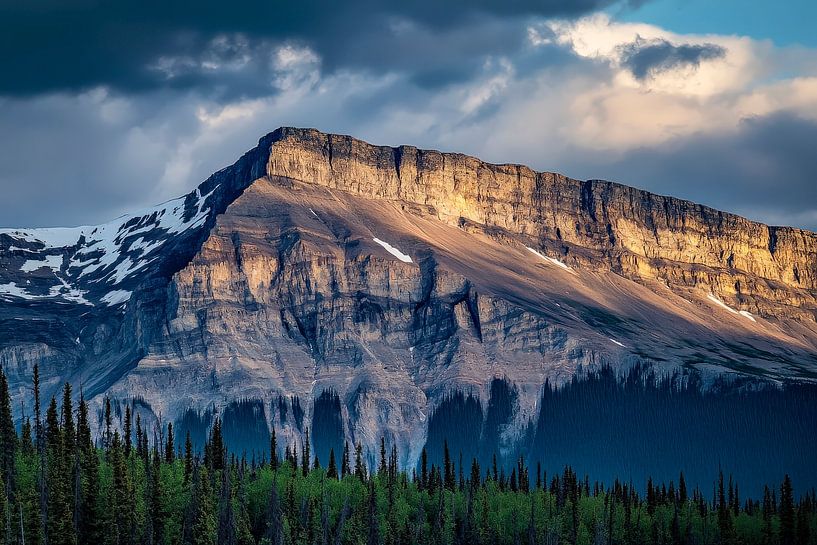 High mountain landscape with forest by Poster Art Shop