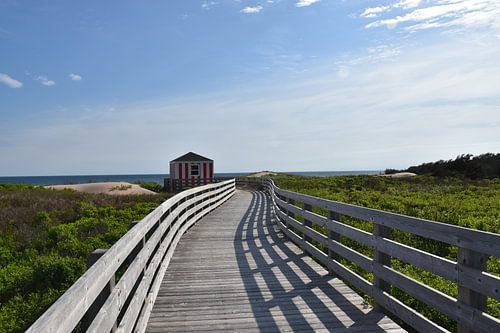 Een parkpad in de zomer