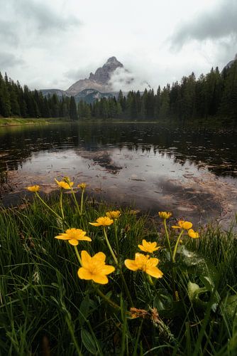 Lago D'Antorno von Joris Machholz