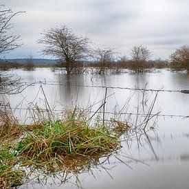 Überschwemmungsgebiete des Rheins bei Amerongen von Mark Bolijn