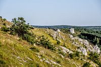 Berggebied