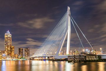 Erasmusbrug Rotterdam van Ester Netten