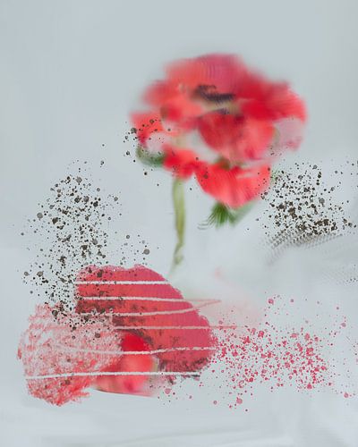 Poppy abstract by Carla Van Iersel