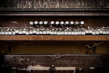 Organ Closeup by Inge van den Brande