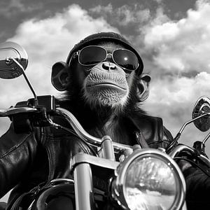 Entspannter Affe auf einem Motorrad