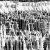 Bryce Canyon USA panorama Zwart Wit sur Lieke Doorenbosch