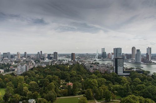 Rotterdam skyline