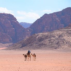 Kamelen in woestijn sur Petra Kooiman