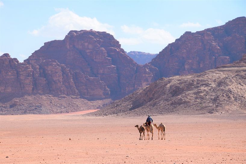 Kamelen in woestijn van Petra Kooiman