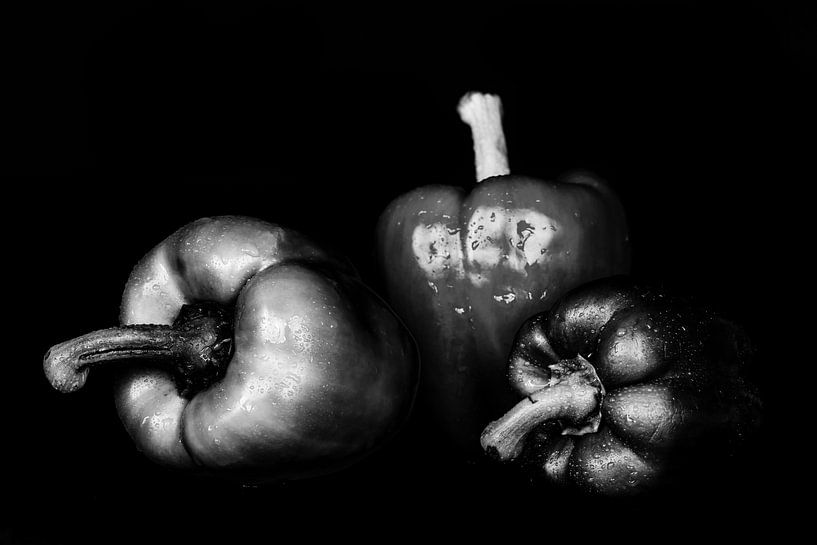 Stillleben drei Paprika auf schwarz in schwarz-weiss nebeneinander mit Wassertropfen von Dieter Walther