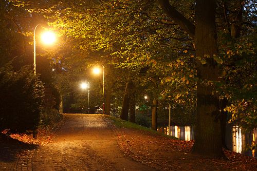 Autumn in the Bremen Wallanlagen