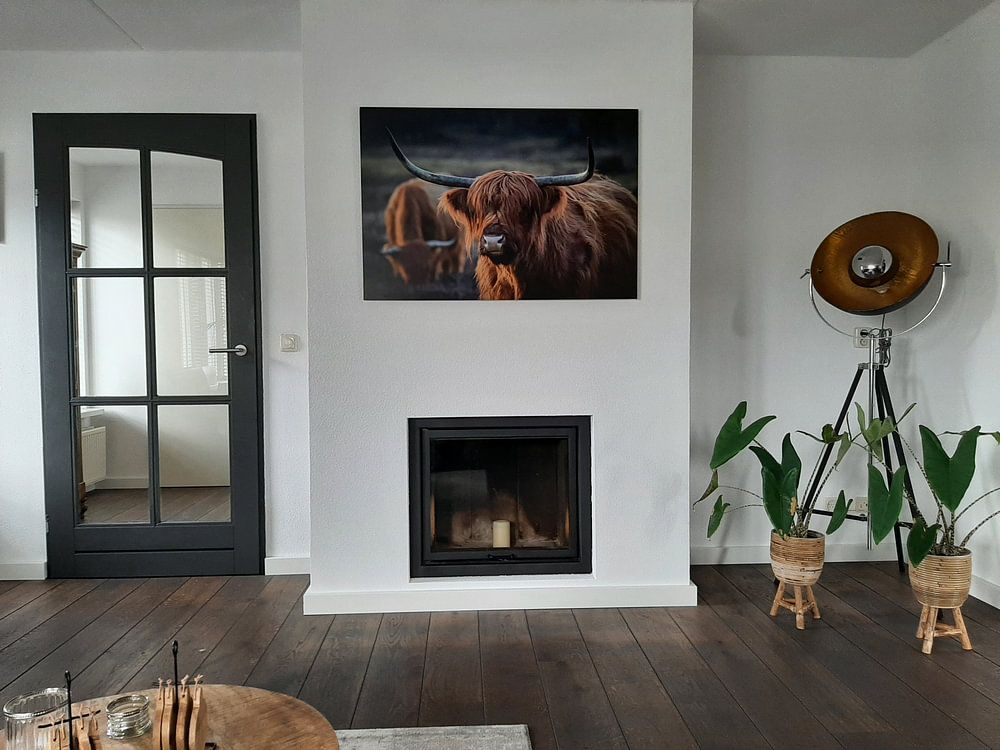 Schotse Hooglander bij avondlicht. Gouden uur. van Henk Van Nunen Fotografie