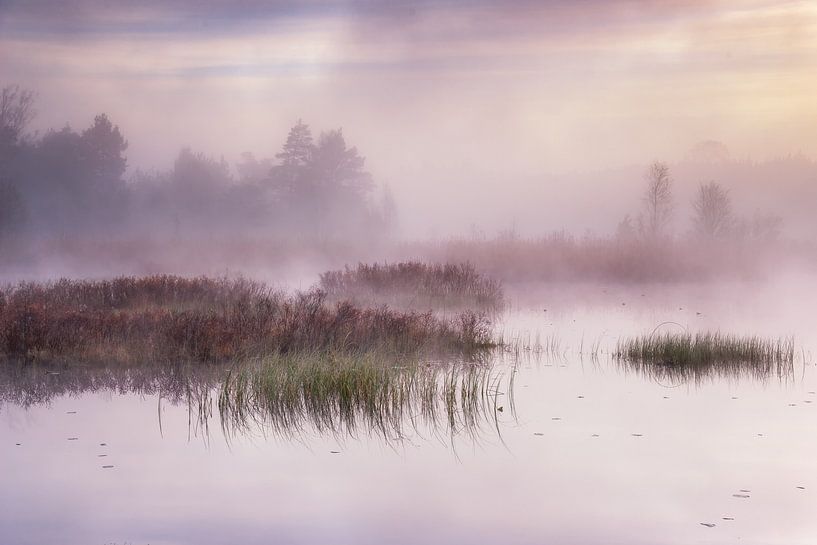 The day dawns by Benny Pettersson