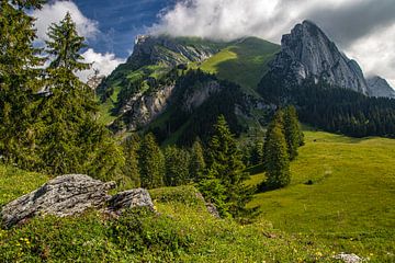 Alpstein-gebied rond Säntis van Erwin Martin