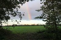 Arc-en-ciel