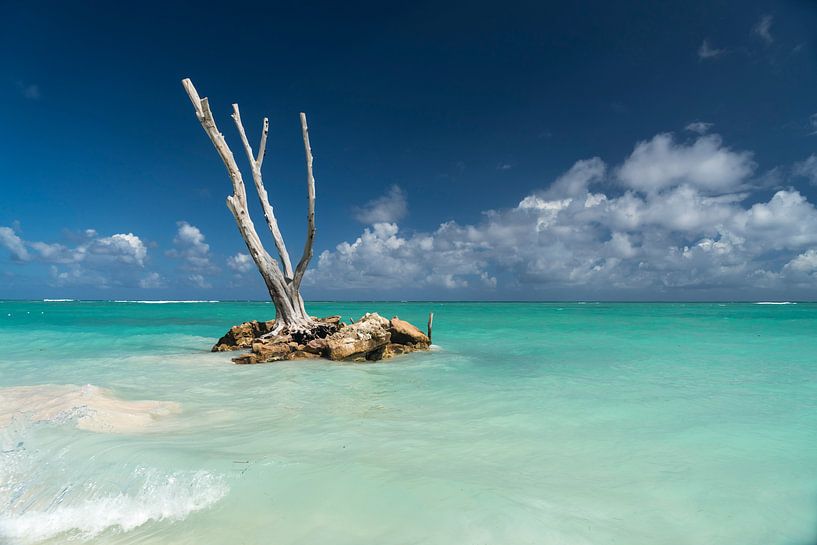 Punta Cana, Dominicaanse Republiek van Peter Schickert