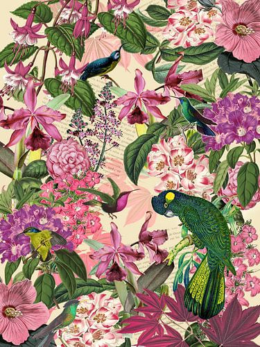 De groene kaketoe en zijn vrienden