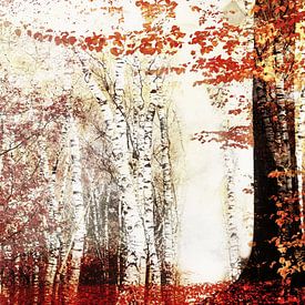 Art aux couleurs chaudes et pittoresques de l'automne sur Rob Visser