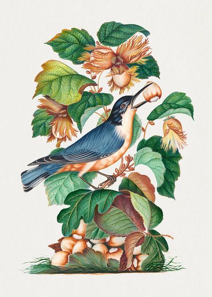 Vogel-Kunstdruck, Gemälde Wanddekoration, neu gemischt aus Kunstwerken von James Bolton von Studio POPPY