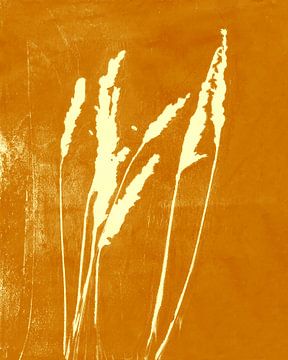 Gras in retro goudgeel. Botanische illustratie. van Dina Dankers
