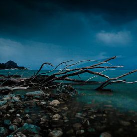 This storm is here to stay... van Bram van Kattenbroek