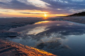 Zonsopgang op een zandbank aan de Baltische Zee van Animaflora PicsStock