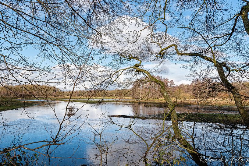 View through by Roland's Foto's