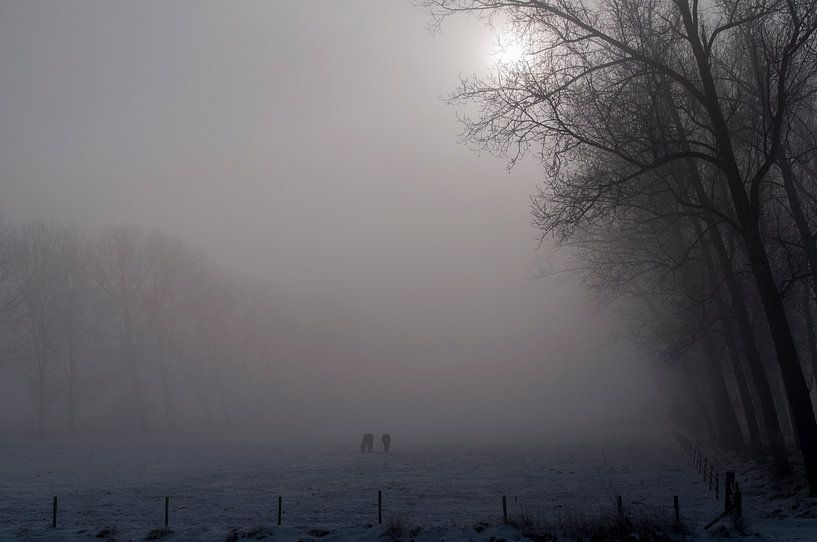 Paarden in the mist. par Edwin Harpe