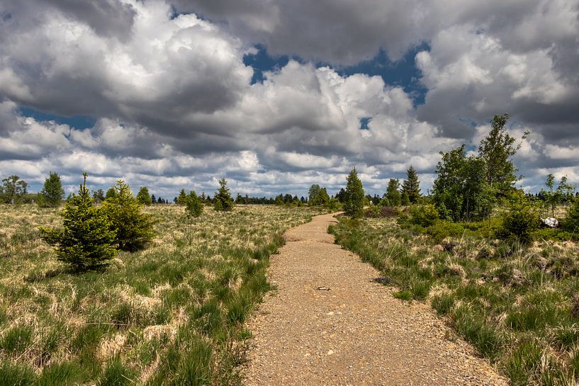 Landscape at Baraque Michel (Belgium) von Maurice Meerten