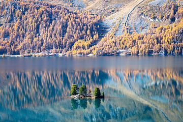 Herfst reflecties in een bergmeer van Menno van der Haven