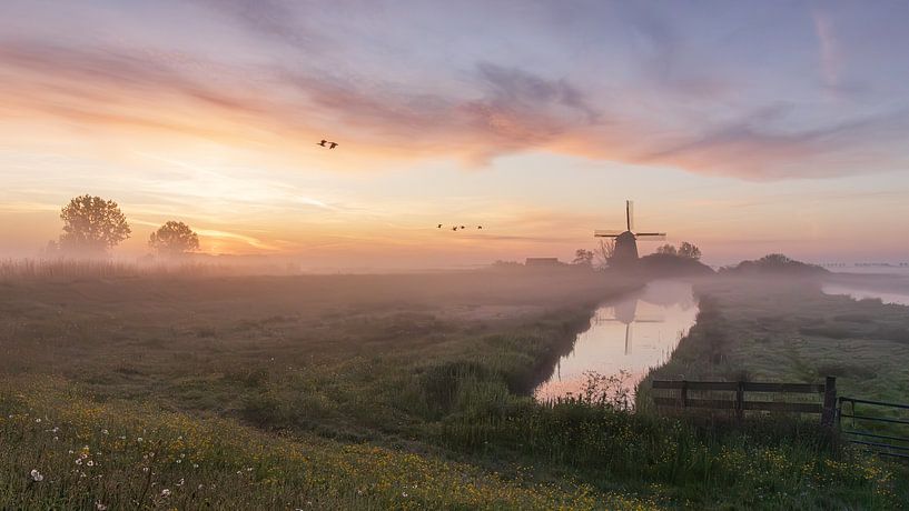 Typische Hollandse lenteochtend met molen De Havik in een decor van een met mist bedekt weiland van Bram Lubbers