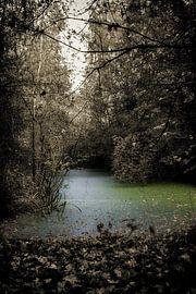 Kreis des Lebens von Jan van der Knaap