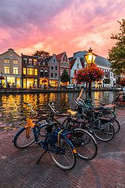 Leiden - Cyclisme sur le Rhin silencieux avec coucher de soleil (0041)